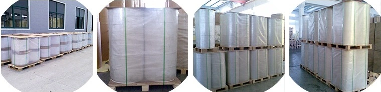50 Mic Matte Silver Ahesive Printing Label Paper Polyester Mylar Film Flexo Jumbo Vinyl Roll