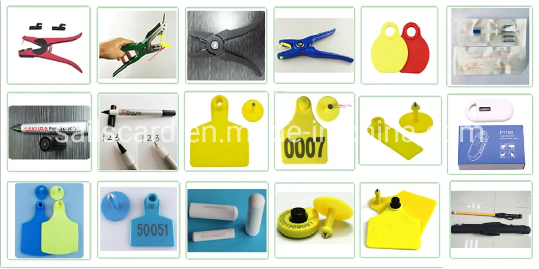 Customized Dimension Visual Plastic Ear Tag in Colorful