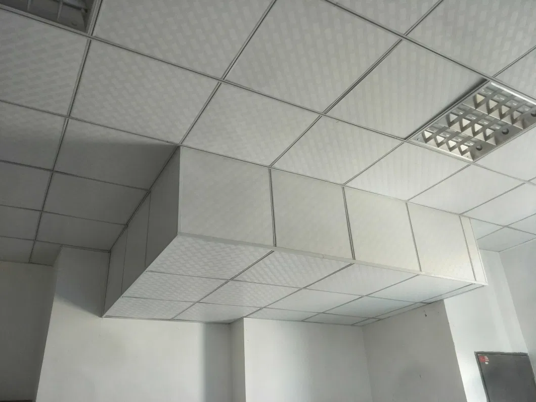 Shaneok Mineral Wool Board Ceiling Office Building Material