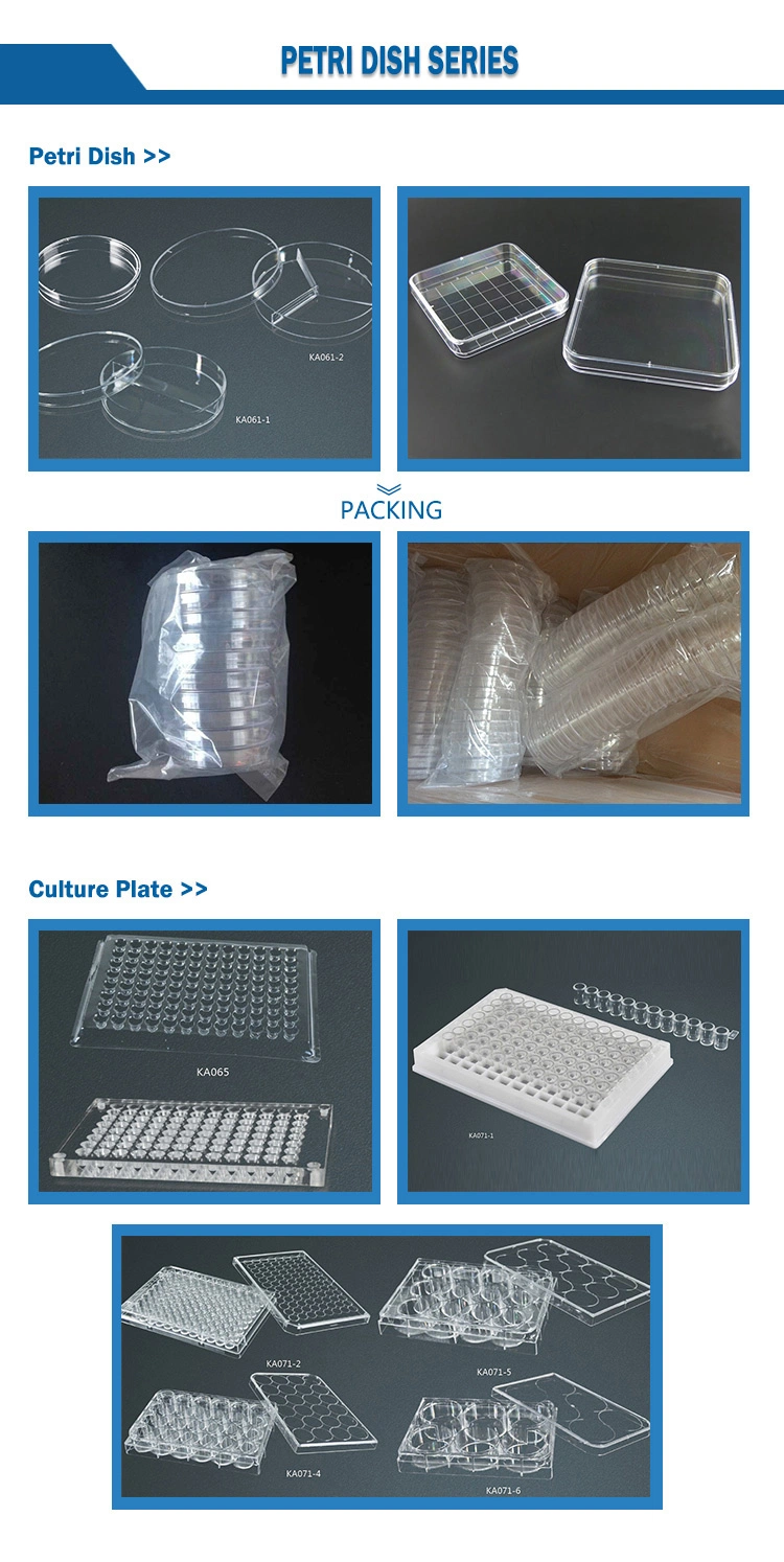 Large Borosilicate Glass Flat Laboratory Plastic/Glass Disposable Test Tubes