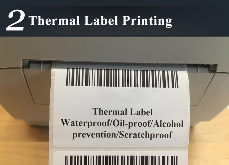 Original Zd888t High Speed Direct/Thermal Transfer Label Printer Impresora De Etiquetas