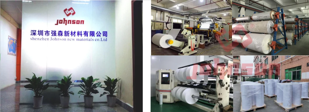 China Manufacturer Blank Direct Transfer Thermal Paper Roll Lineless Label for Digi Scale