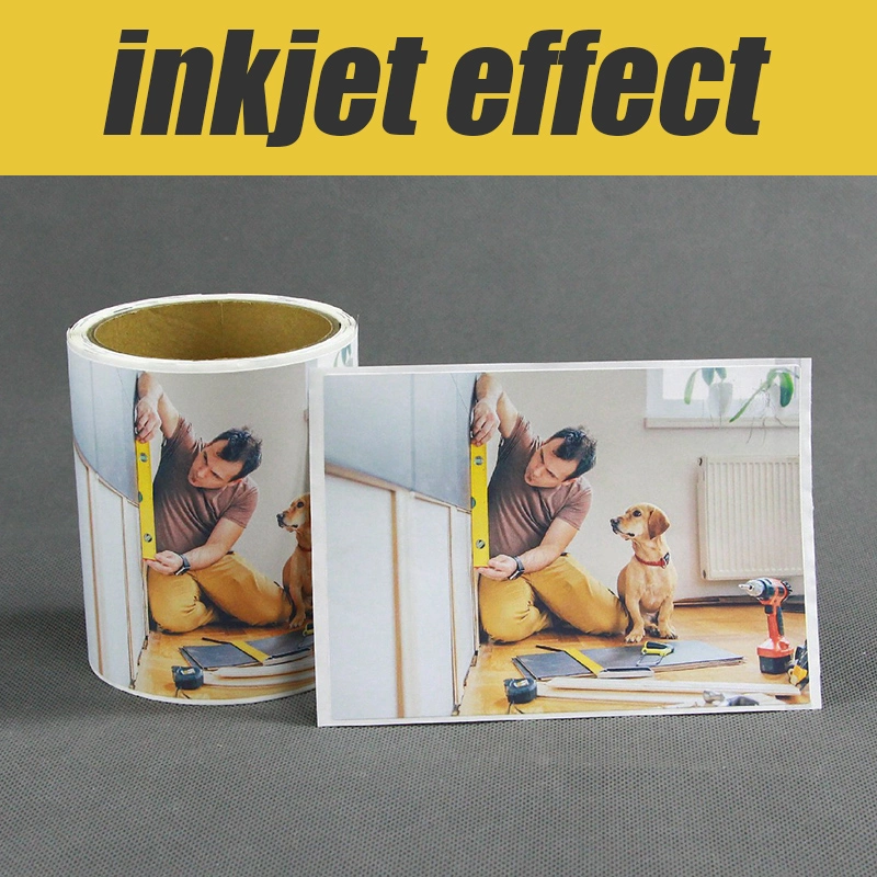 Digital Inkjet Printing Label Premium Inkjet Glossy PP or Matte Sticker Color Label for Epson/VIP Color/ Printers Packaging Injk