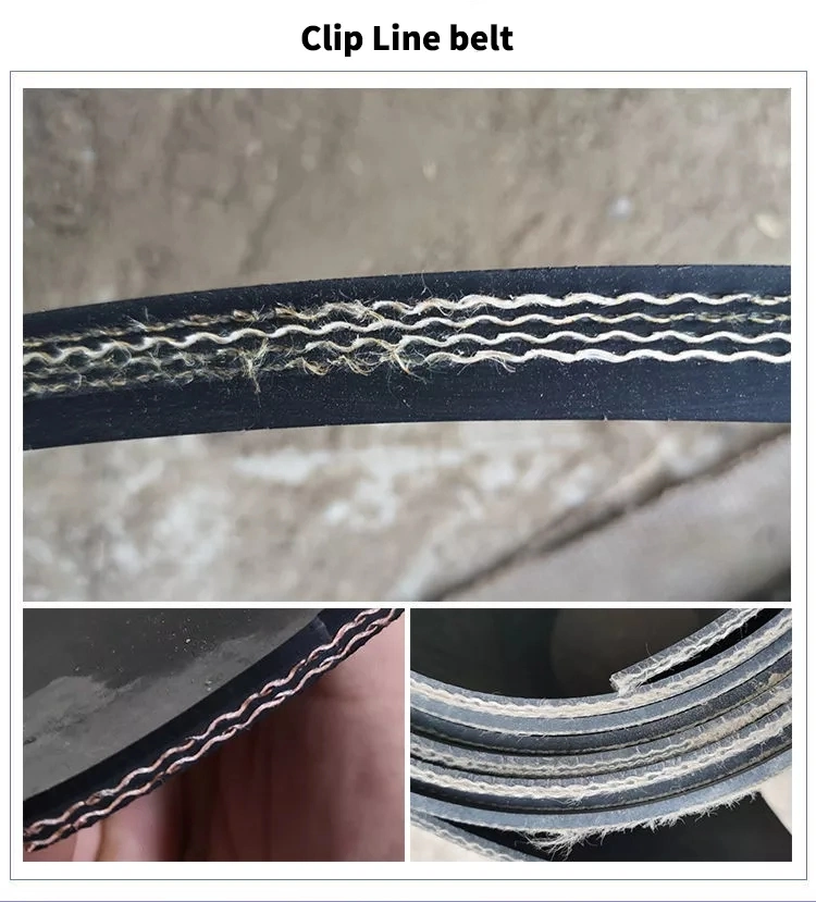 High Quality Heat/Tear/Wear/Fire Resistant Ep Fabric Rubber Conveyor Belt/Sidewall Conveyor Belt/Chevron Conveyor Belt/Elevator Belt