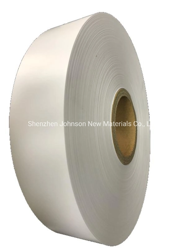 China Manufacturer Blank Direct Transfer Thermal Paper Roll Lineless Label for Digi Scale