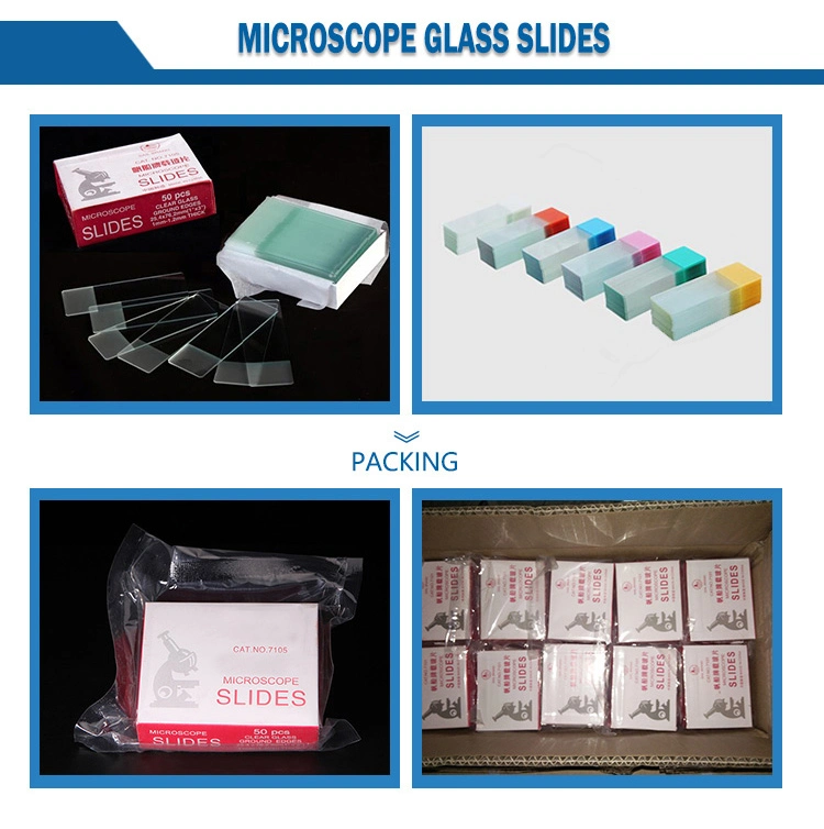 Factory Direct Supply Laboratory Disposable Sterile Plastic/Glass Test Tubes