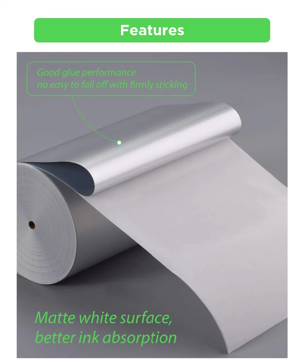 50mic water base Flexo jumbo roll adhesive sticker paper roll label stock jumbo roll