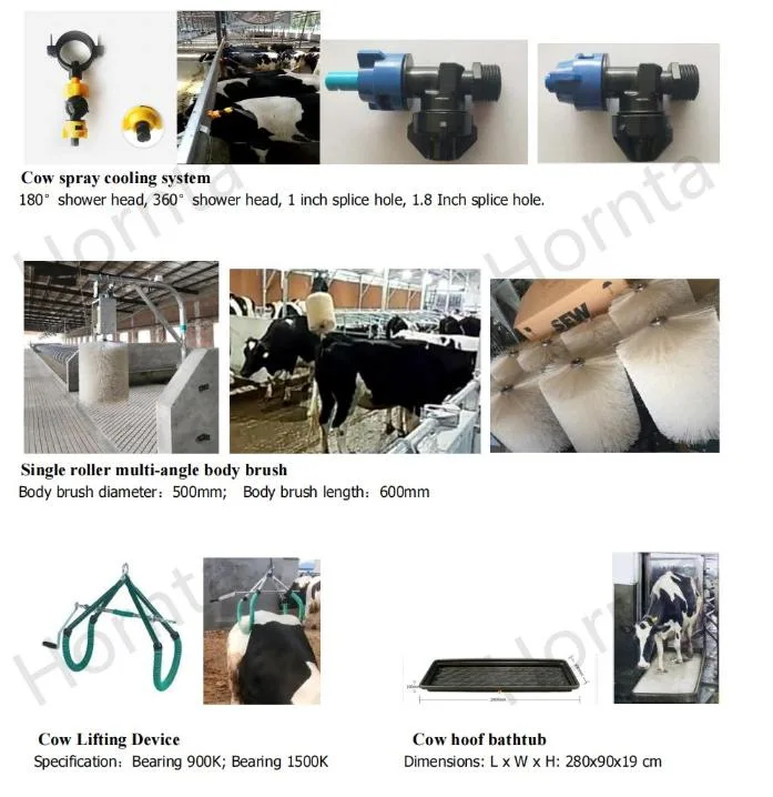 Cattle with High Frequency Electronic Ear Cards Tag