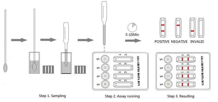 Giardia-Cryptosporidium-Rotavirus-Coronavirus Antigen Test Bovine Diarrhea 4 in 1 Combo Test