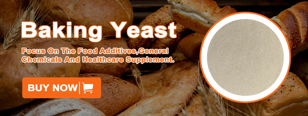 Low Sugar Fast Baker Instant Dry Yeast 10g 90g 450g 500g