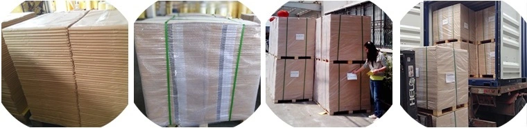 Flexographic Printing Food Zhengshuo Carton OEM Label Economic Jumbo Roll
