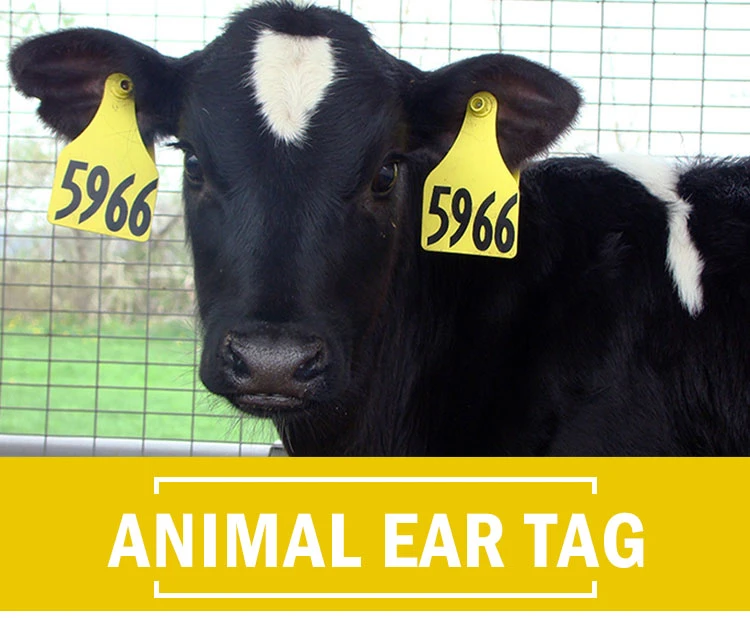 TPU RFID UHF Chip Animal Tag Goat Eid Ear Tags for Animal Electronic Identification
