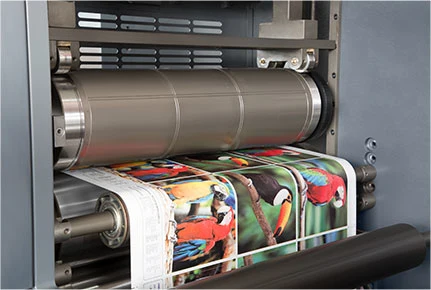 Fast Running Digital Flexo Rotary Printing Machine