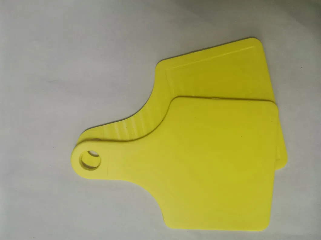 Cattle with High Frequency Electronic Ear Cards Tag