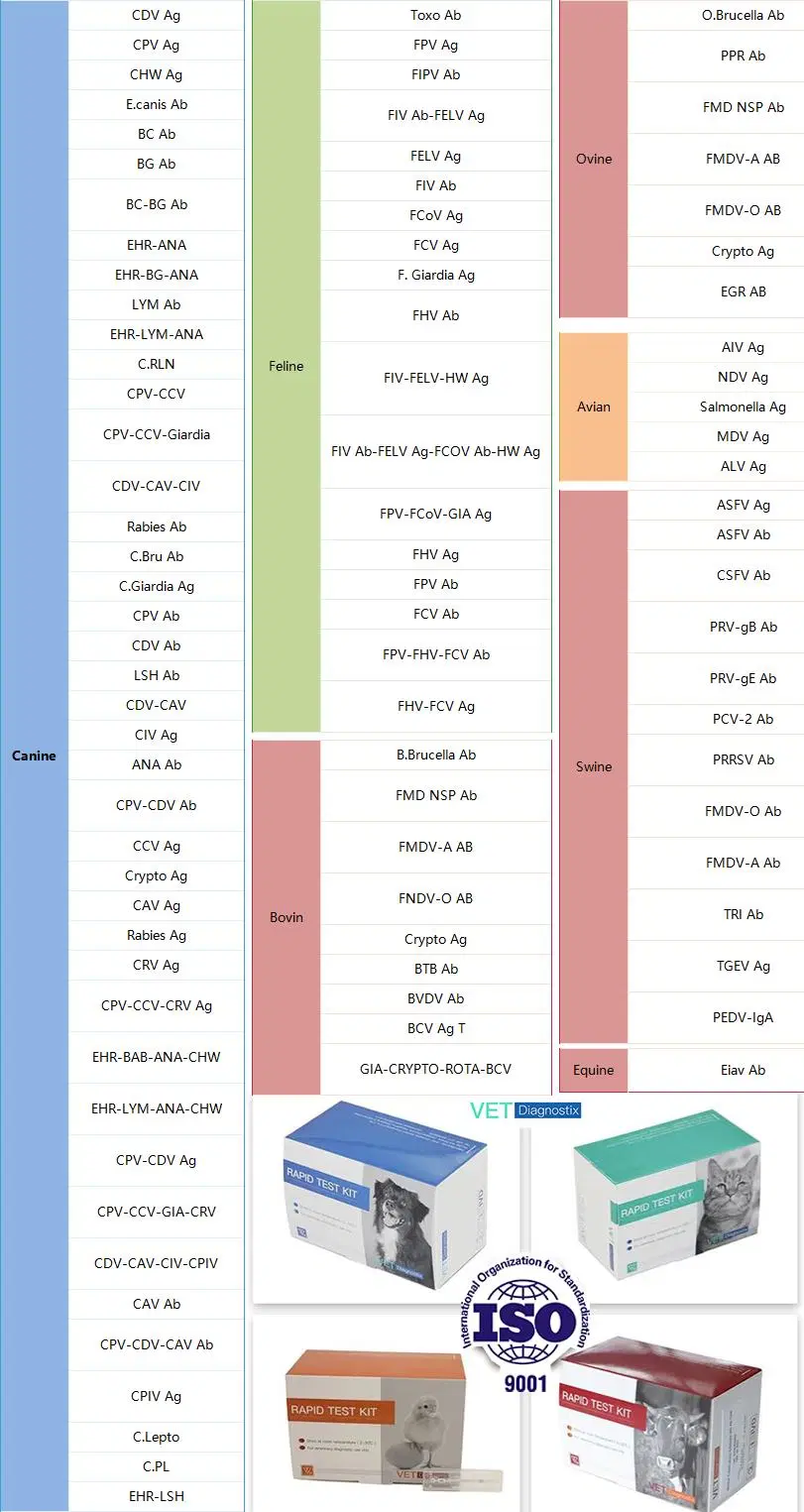 Gia - Crypto - Rota - Bcv Antigen Combo Test