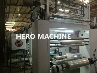  4 6 Color Digital Label Paper Flexo Printing Machine 2 Colore plastica sacco rullo stampanti flessografiche Prezzo della macchina