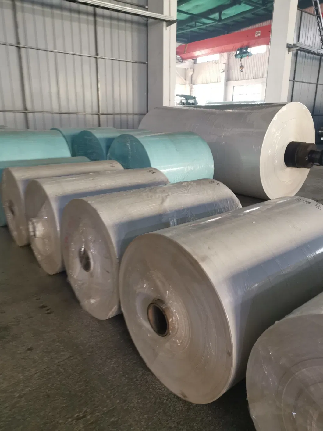 Direct/Eco/Top Coated Thermal Self-Adhesive Paper in Reel