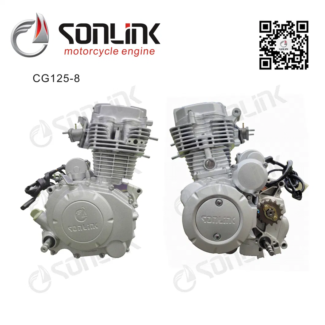 150cc/200cc/250cc Honda Bajaj Bm Tvs Zongshen Haojue Cg Gn Motorycle Part/Parts Engine (SL162FMJ-I)