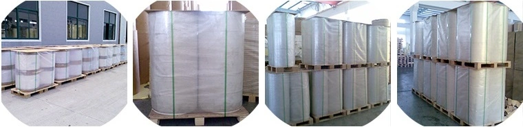 Factory Supply Self Adhesive Pet Label Matt Sliver Pet Label Jumbo Roll 50 Micron Matte Flexography Offset Printing