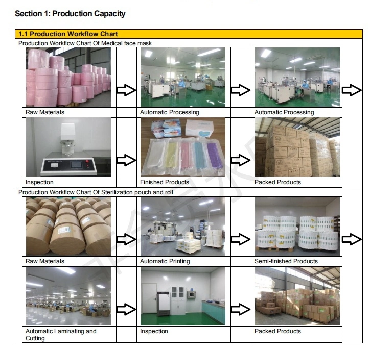 Medical Disposable Steam Eo Form Plasma Sterilization Indicator Card/Label