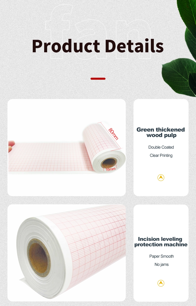 Custom Size Thermal ECG Paper Roll Professional Top Eco-Friendly Grade ECG Medical Thermal Paper Rolls