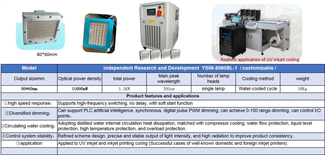 UV Inkjet Printer Specific LED Curing Lamp/UV LED Curing Equipment/UV LED Curing System