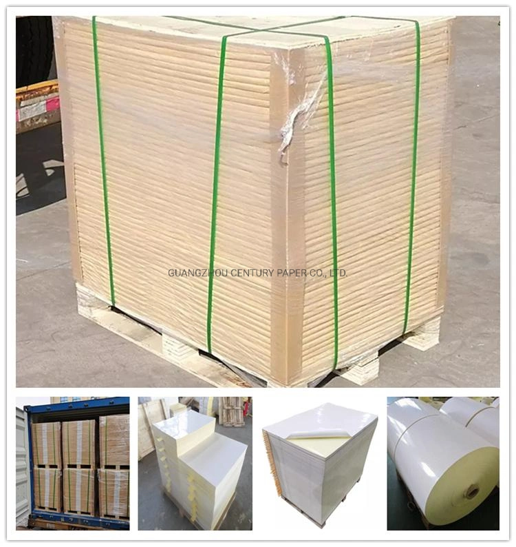 Factory Direct Sale Top Coat Direct Thermal Paper Hot Melt Frozen Adhesive Jumbo Roll Cold Chain Food Label