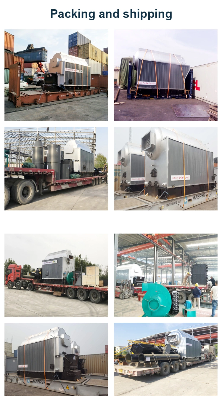 Dzl Coal Fired Steam Boiler for Dyeing Machinery