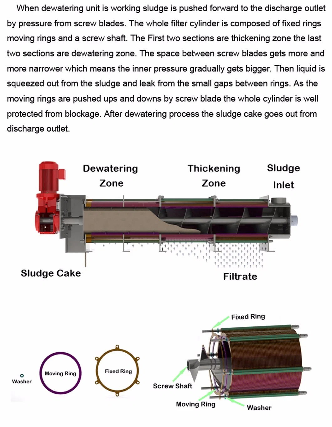 Largest Manufacturer - Pioniere Sludge Dewatering Machine Better Than Hiller Decanter Centrifuge