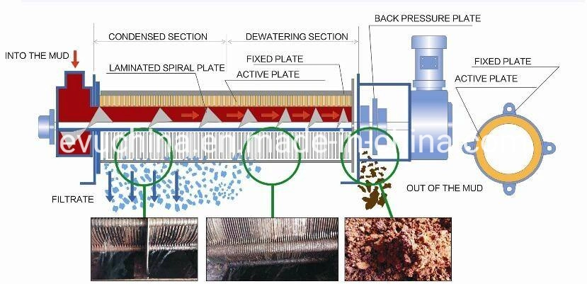 Printing and Dyeing Factory Waste Water Treatment Screw Press Sludge Dewatering Machine for Sewage Disposal