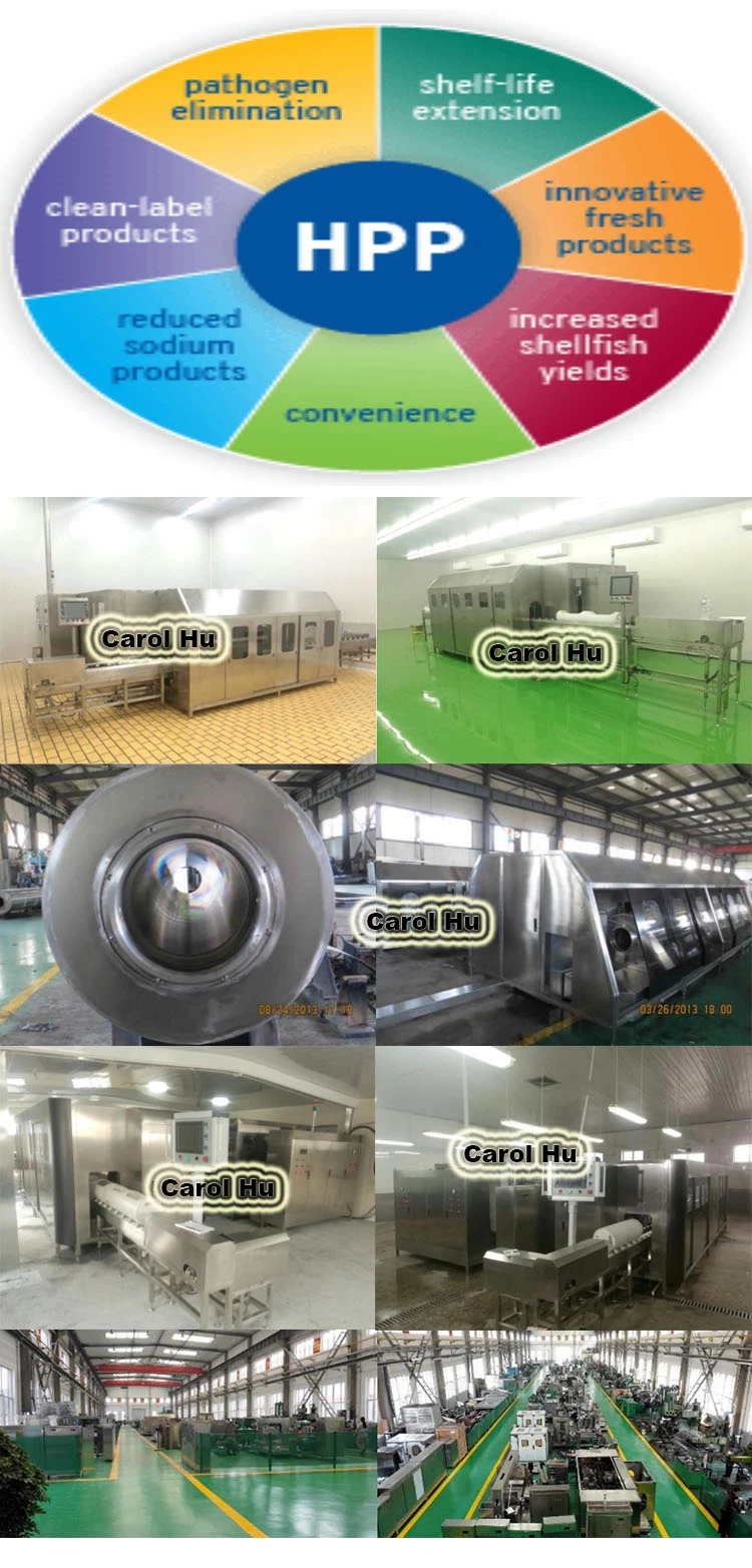 Factory Small 5L 10L High Pressure Process Hpp Sterilizer Sterilization Machine for Food Juice