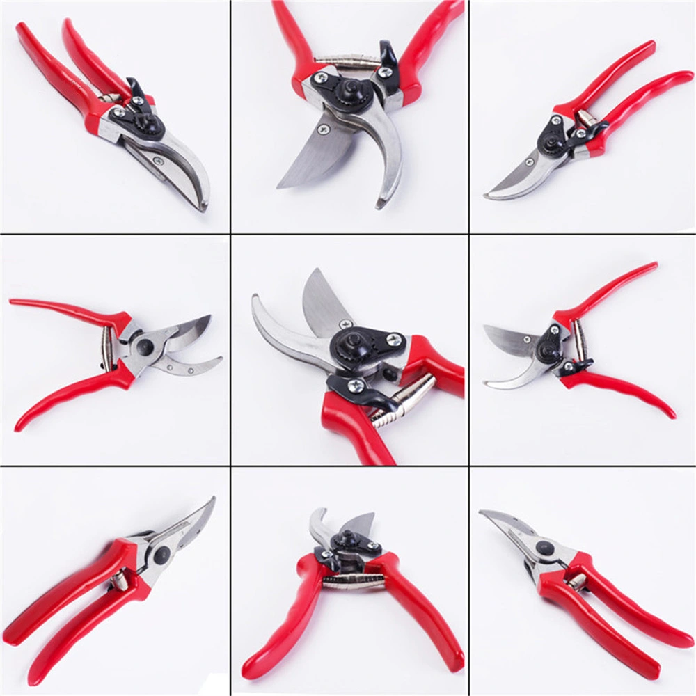 Mf-704A China Factory Wholesale Garden Hand Tools Tree Trimmer Pruning Shears