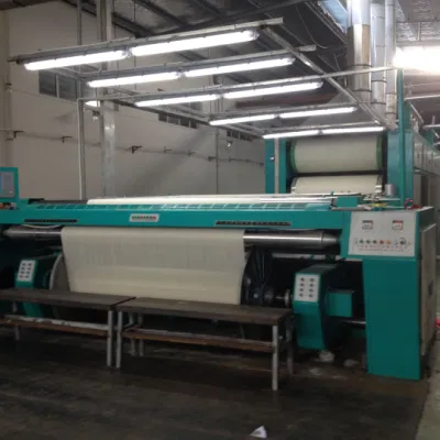Tongda macchina per tintura e dimisura per la macchina per la pinza senza cassettiere Loom