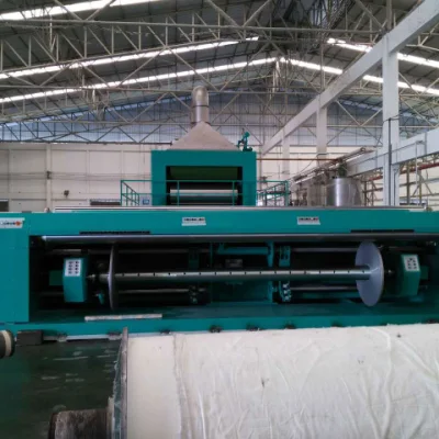 Tongda macchina per tintura e dimisura per la macchina per la pinza senza cassettiere Loom