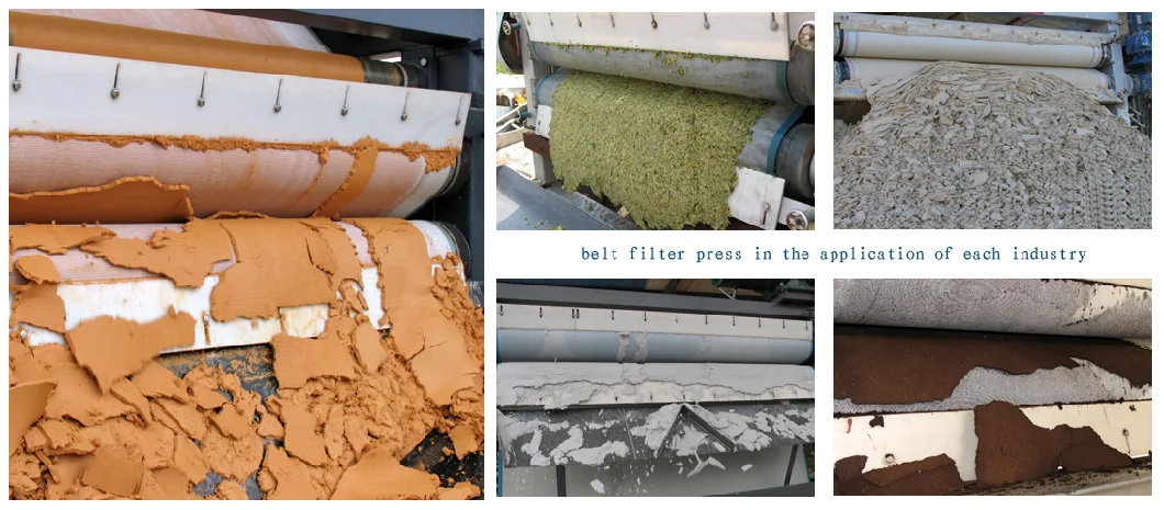 Factory Price Sludge Treatment High Efficiency SS304 Belt Filter Press Sludge Press Machine