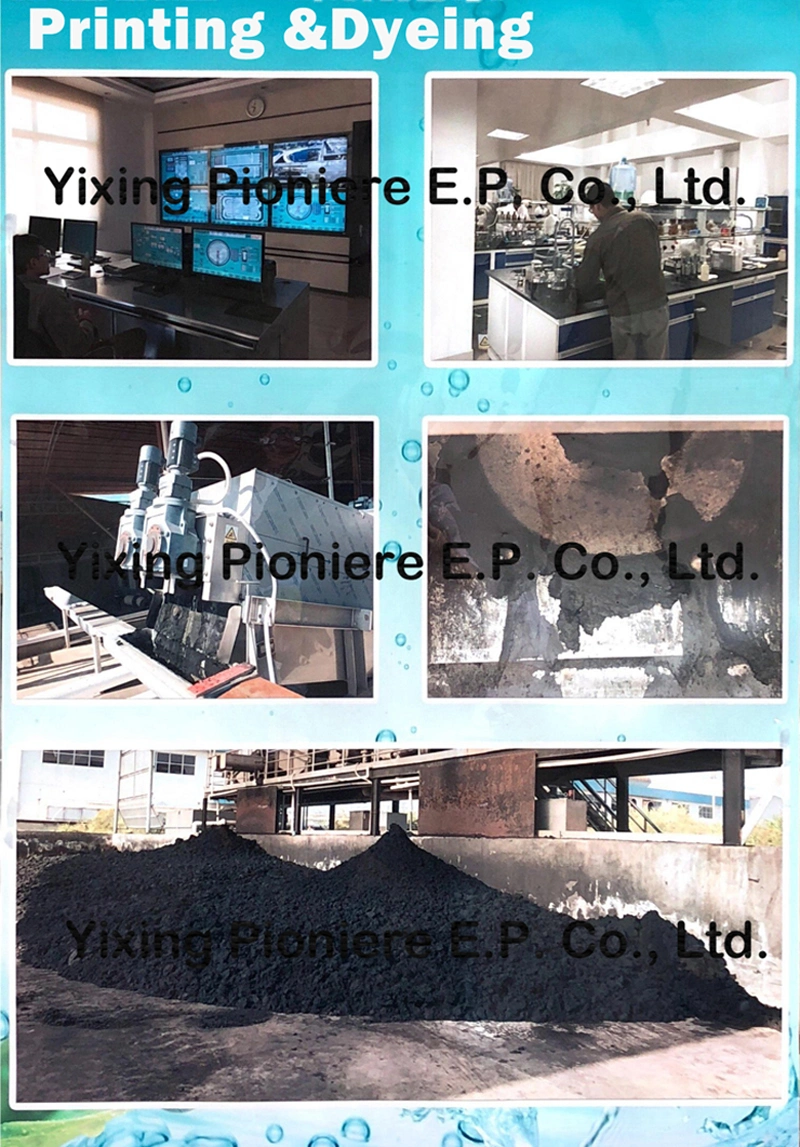 Waste Water Treatment Plant Sludge Dewatering Machine for Pringting and Dying Sludge