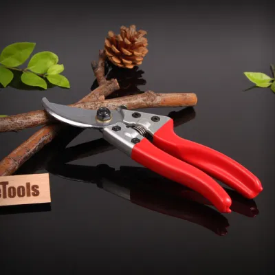 Китай Производитель Профессиональный садовый инструмент груши груши изогнутый садовый цветок Ножничный