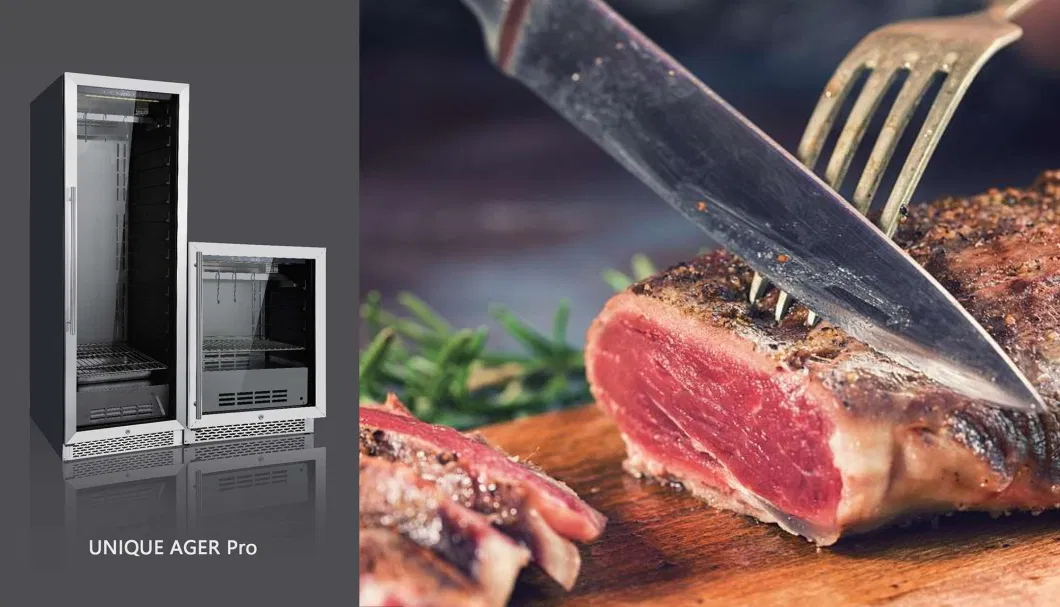 Inverter Compressor Meat Mature Food Processing Equipment Steak Dry Ager