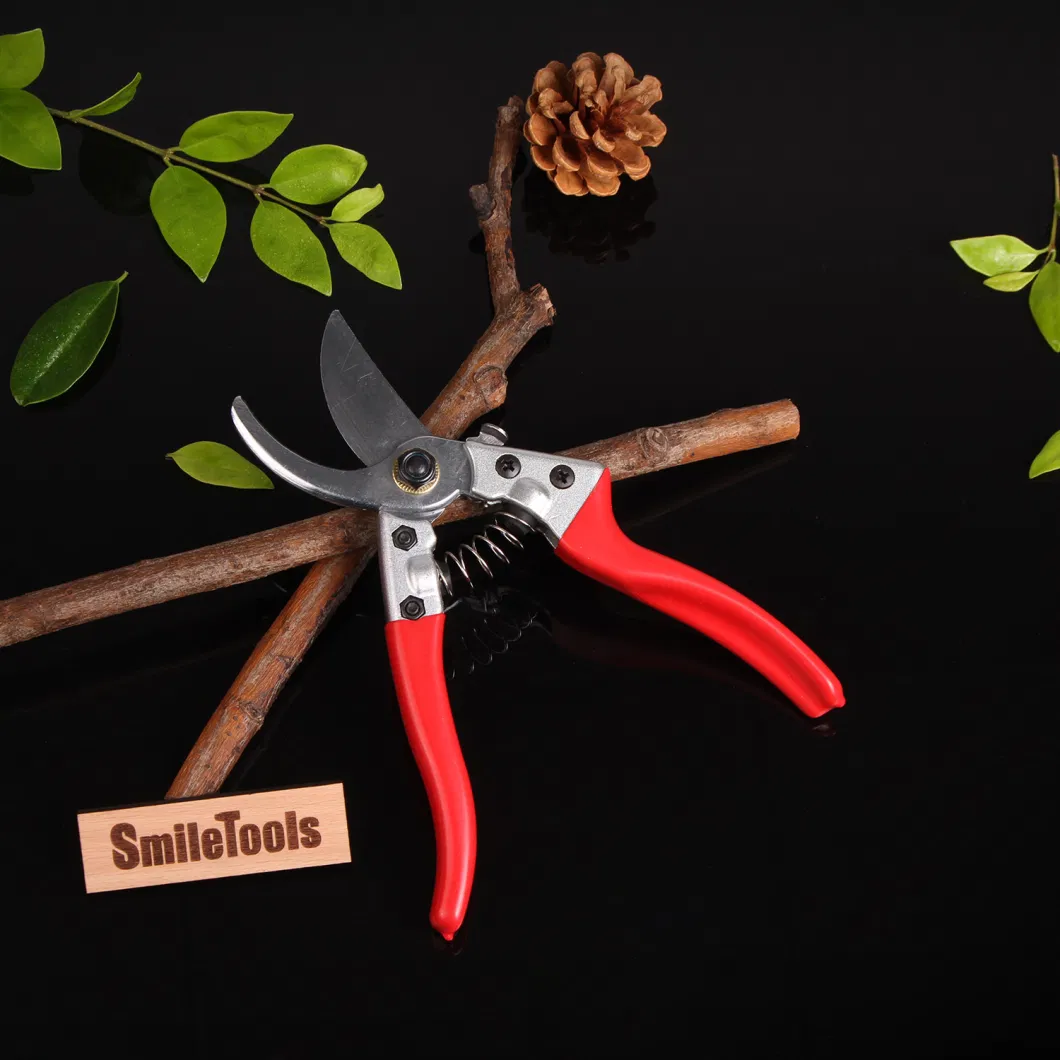 China Manufacturer Professional Garden Tools Pruning Shears Curved Gardening Flower Scissor