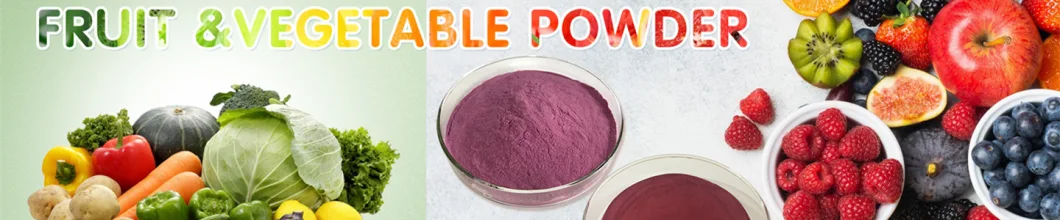 Wholesale 100% Natural Papain Enzyme Powder Organic Papaya Powder