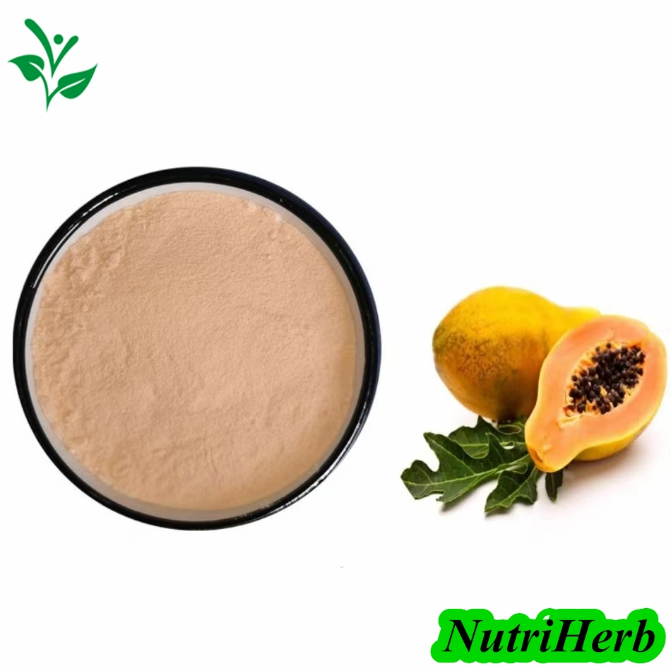 Wholesale 100% Natural Papain Enzyme Powder Organic Papaya Powder