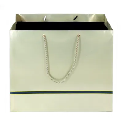 Customized Logo Printed Pearl White Paper Packaging Bag for Cosmetics