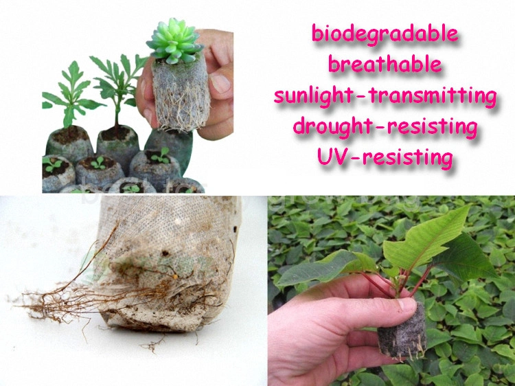 Non-Woven Biodegradable Plant Nursery Growing Pouch Degradable Seedling Pot