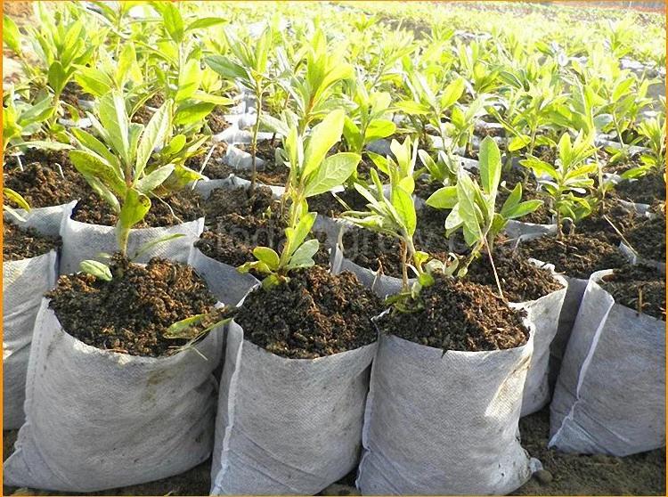 Non-Woven Biodegradable Plant Nursery Growing Pouch Degradable Seedling Pot