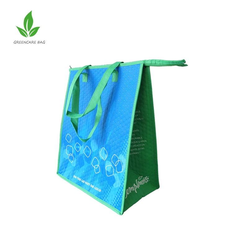 Reusable Thermal Food Delivery Bag Insulated Breastmilk Cooler Bag with Ice Pack