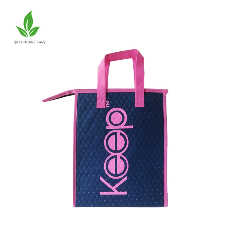Reusable Thermal Food Delivery Bag Insulated Breastmilk Cooler Bag with Ice Pack