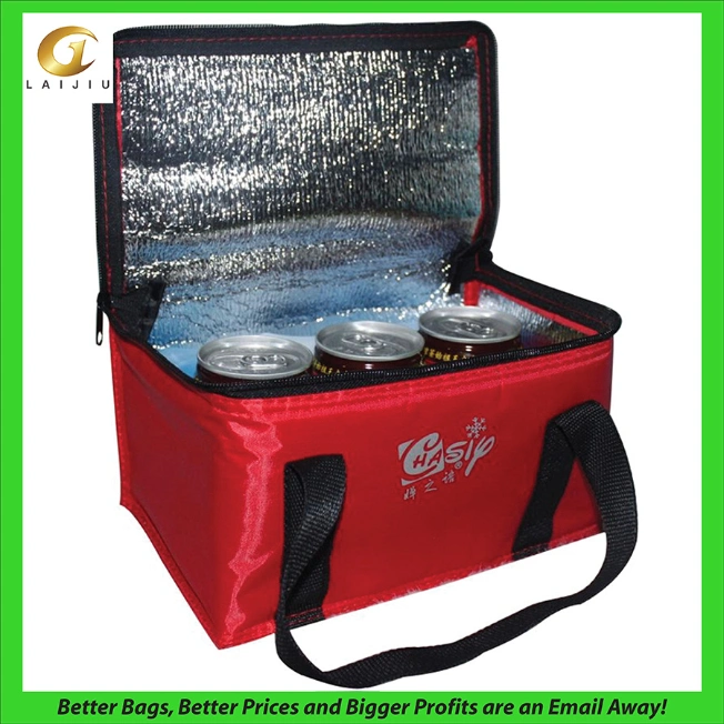 Insulated Promotional Can Cooler Bags for Food Package, Insulated Picnic Lunch Bag Large Soft Cooler Bag for Outdoor/Camping/BBQ/Travel