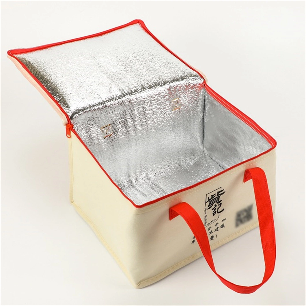 Insulated Baby Bottle Bag Multi-Function Breastmilk Cooler Bag &amp; Lunch Bag