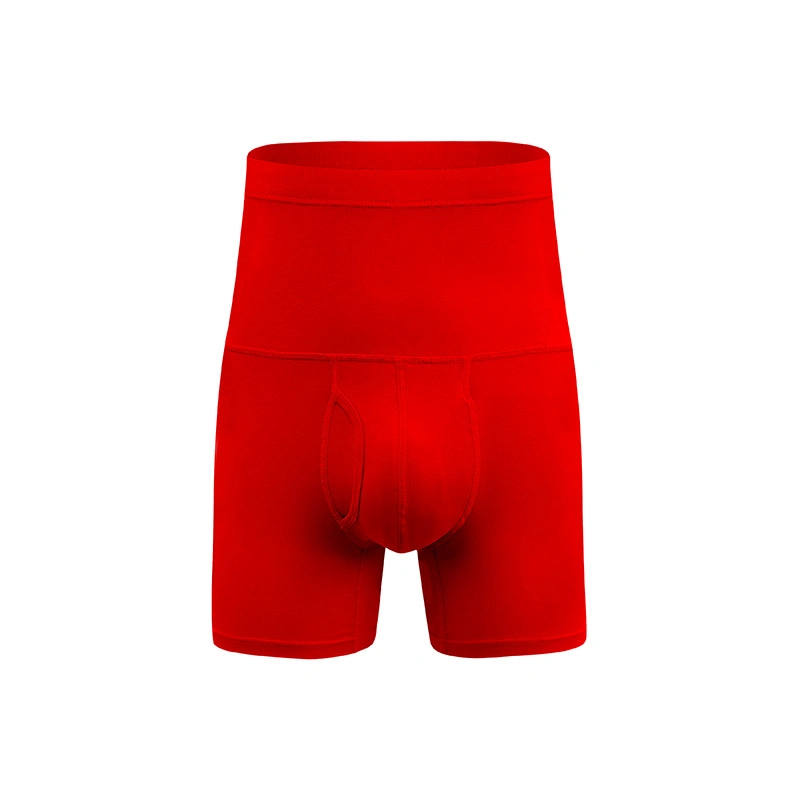 Sexy Solid Color Boxers Mens Elastic High Waist Briefs Underwear Seamless Arrow Panties Underwear Soft Penis Pouch Boxershorts