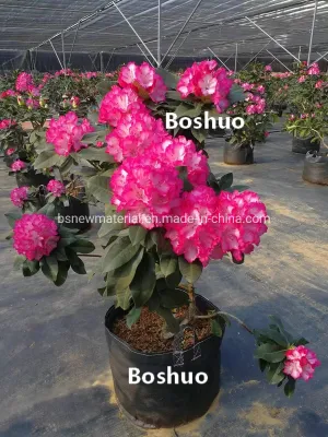  Jardinería Heavy Duty Fabric Jardín Jumbo planta redonda negra raíz de la Plantación de bolsas para bonsai vivero arbusto Datepalm flor del arándano árbol fabricante chino